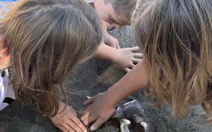 WillCA students digging up fossils at a park.