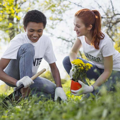 Two students volunteering and planting flowers in a park - Connections Academy
