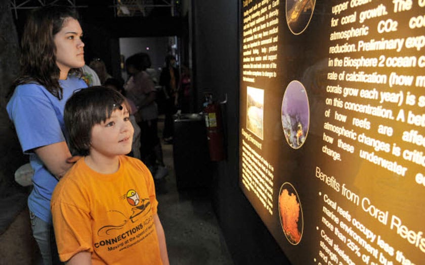 Students gathered at a museum learning about coral reefs