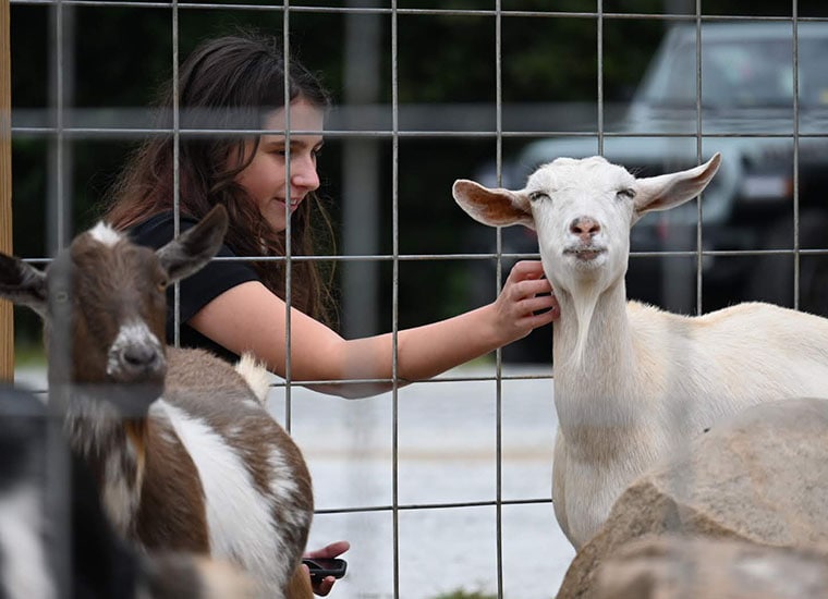 Georgia Connections Academy students having fun at the zoo
