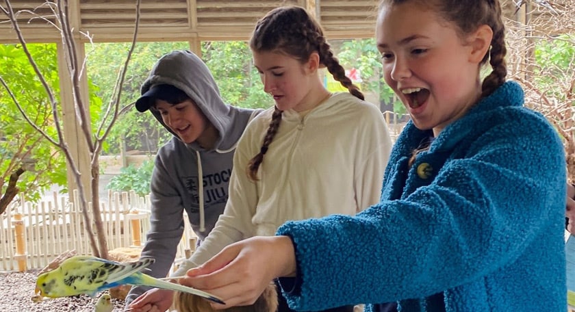 Three students playing with birds at the zoo