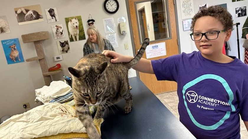Kansas Connections Academy student at the humane society pets a cat