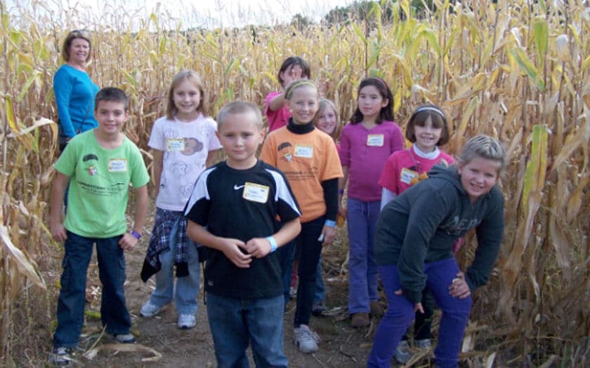 MICA students finding their way in a corn maze
