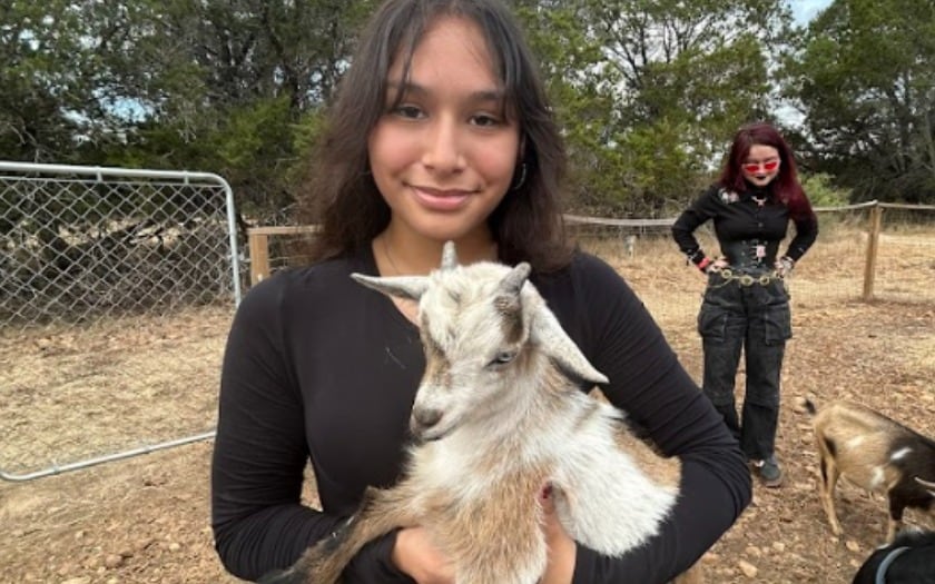 A girl holds a baby goat in a petting zoo