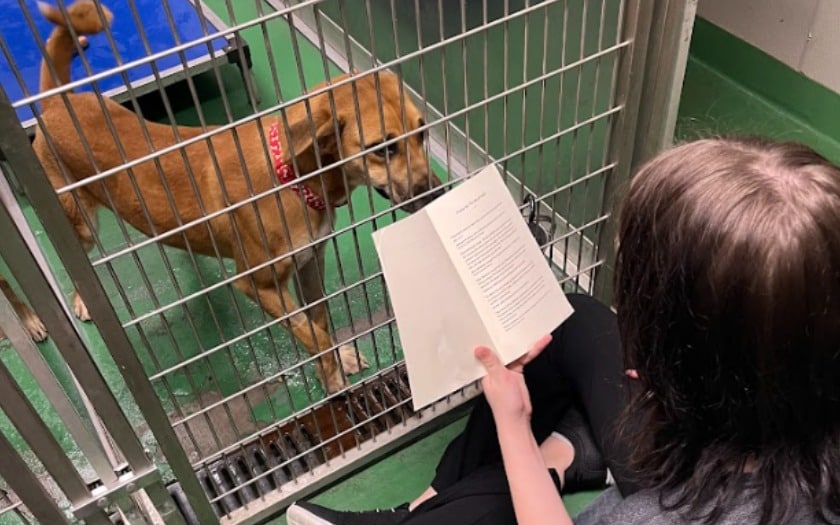 A girl reads a book to a dog who is happy in a cage.