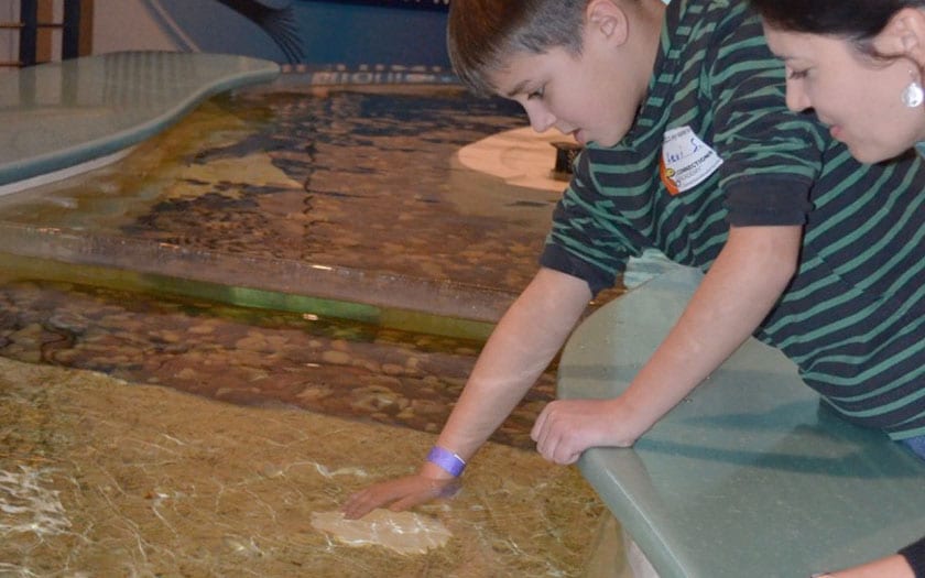 A student makes a friend at Discovery World in Milwaukee