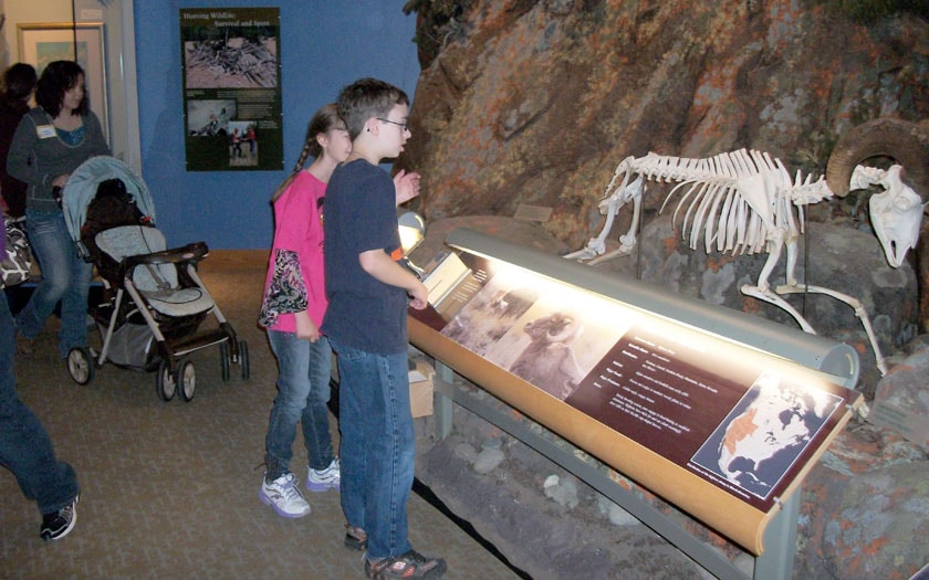 Students at the Buffalo Bill Historic Center