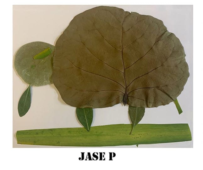 Turtle artwork created by Jase P