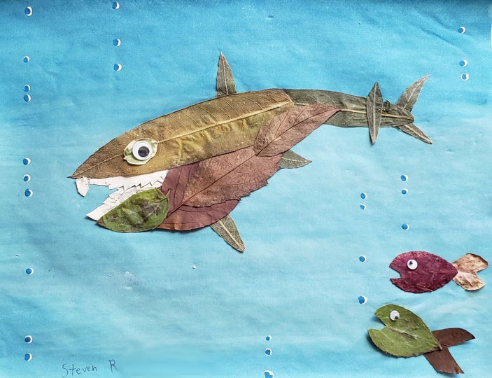 Fish artwork by Steven R.