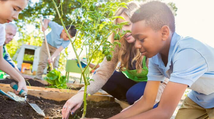 Connections Academy students planting a garden together