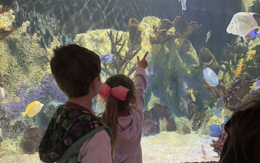 Cook Museum of Natural Science: Students learning about the eco-diversity in North Alabama