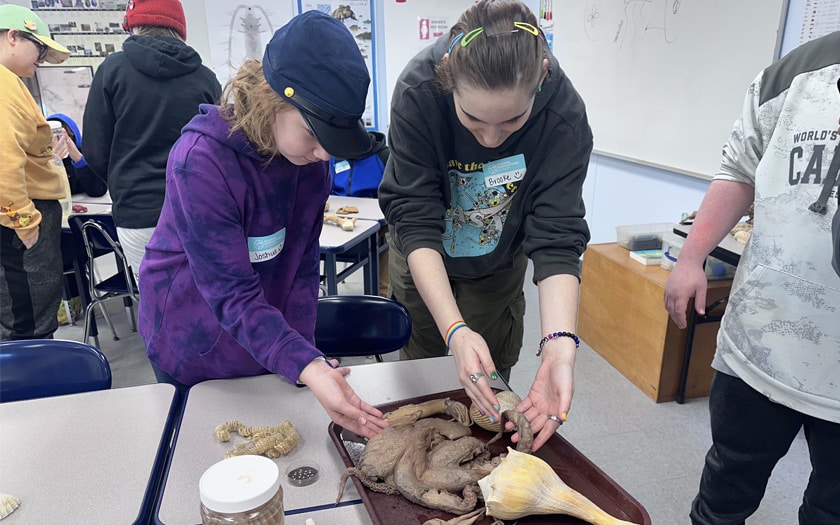Dauphin Island Sea Lab: Students had the chance to learn about marine life and see it up close. 