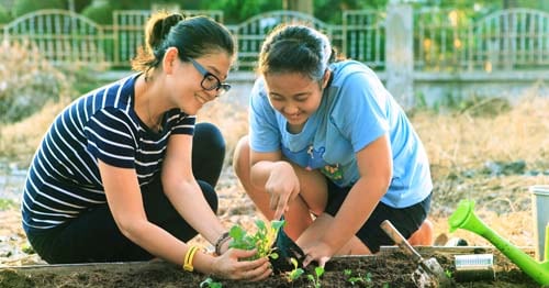 Gifted students gardening to learn more about plants. 