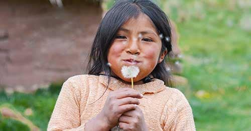 Image of a young indigenous child blowing the puffball seeds of a Spring dandelion 