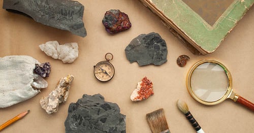 Fossils on a table for fossil activities for kids. 