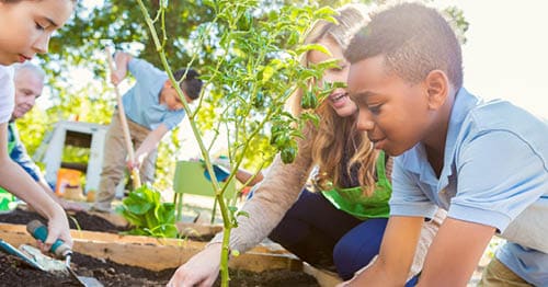 A parent and child gardening together.