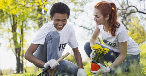 Two teens, a male and a female working on building a garden together. 