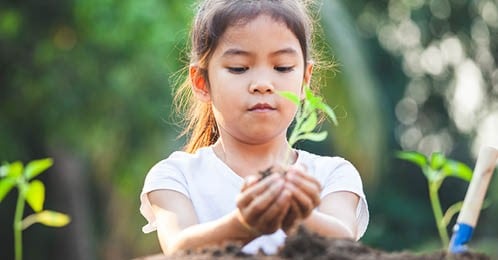 A young child planting a garden. 