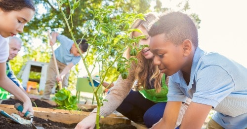Online students learning empathy by volunteering in a garden