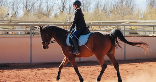 Female online student riding a horse during extracurricular activities