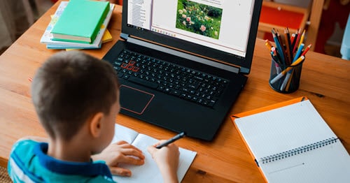 A child taking online classes for gifted students.
