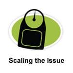 Scaling the Issue image